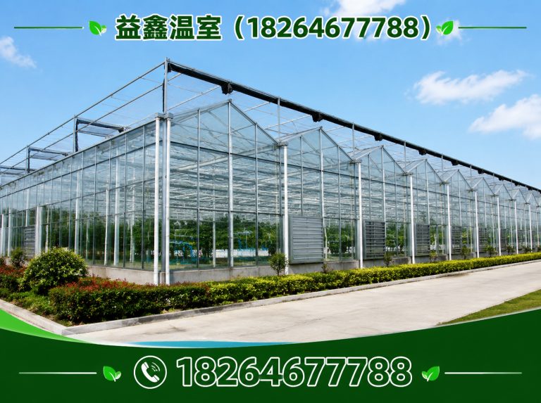 高密市温室建造厂家展示图