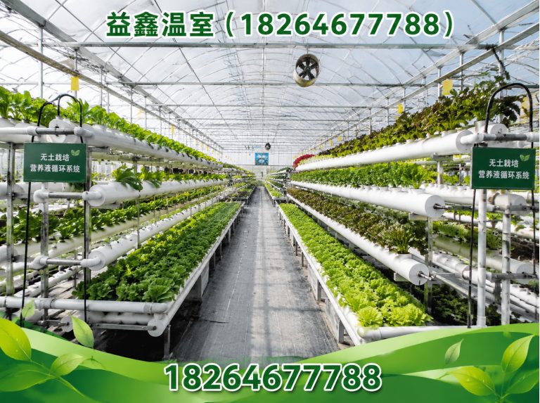 高密市温室材料展示图